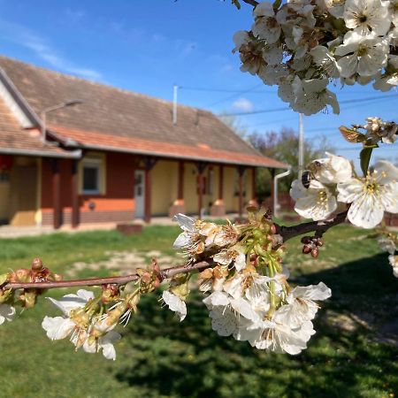 Apartamento Tiszavirag Vendeghaz Tiszacsege Exterior foto