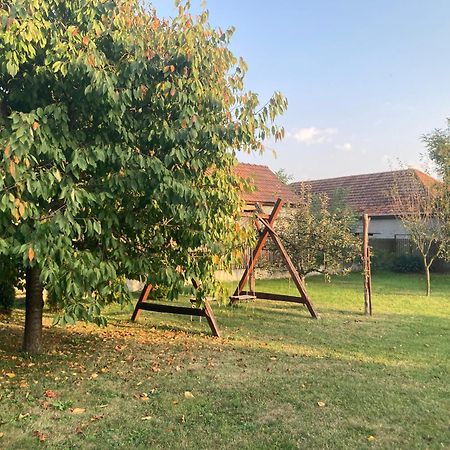 Apartamento Tiszavirag Vendeghaz Tiszacsege Exterior foto