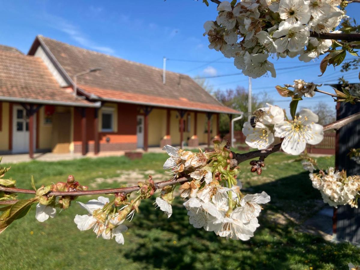 Apartamento Tiszavirag Vendeghaz Tiszacsege Exterior foto
